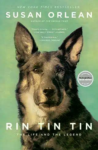RIN TIN TIN LÀ AI?